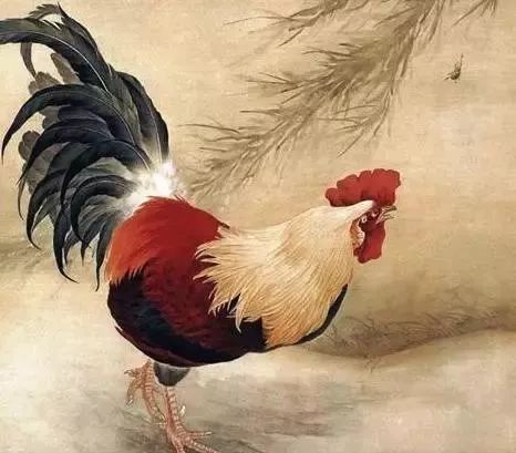 属鸡人2023年要注意一个人吗 生肖鸡一生两大贵人