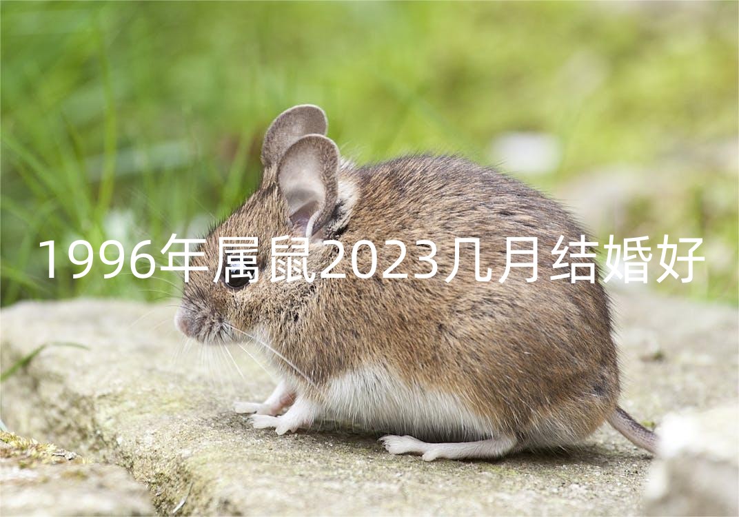 1996年属鼠2023几月结婚好 婚姻要注意什么