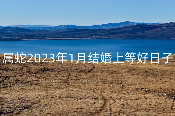 属蛇2023年1月适合结婚的上等好日子