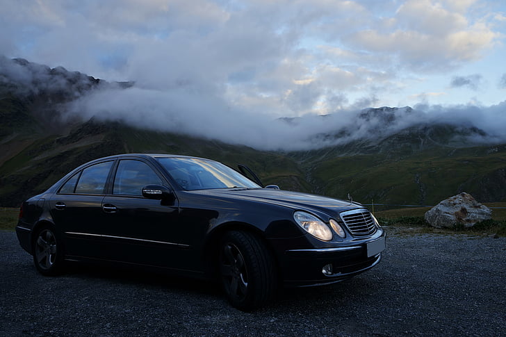 1992年猴适合开什么颜色的车