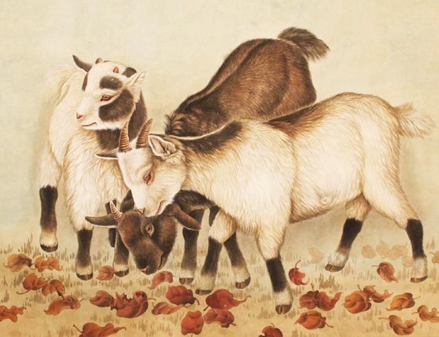 属羊男接亲忌讳什么属相 生肖羊和什么生肖最配