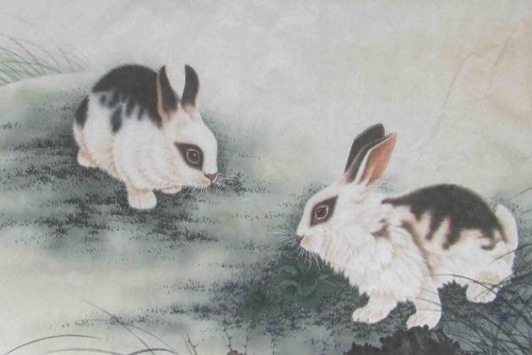 属兔申时出生的男孩好不好 生肖兔最喜欢的生肖