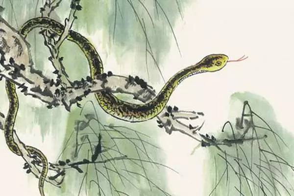 属蛇人2023要注意一个人吗 生肖蛇2023年佩戴什么旺自己