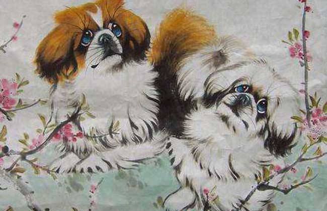 麦玲玲2023年属狗运势运程 生肖狗2023年幸运颜色