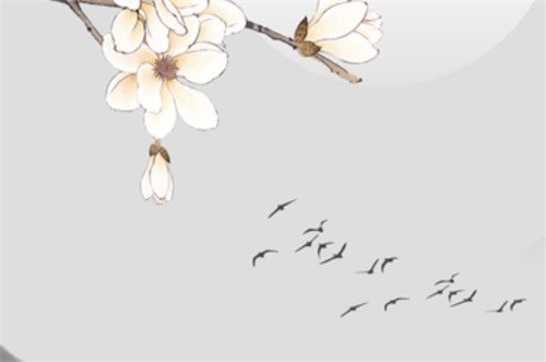 2023年8月属兔是什么命 8月出生的属兔人命好吗