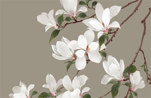 87年属兔女2023年的运势 1987年属兔35岁分水岭