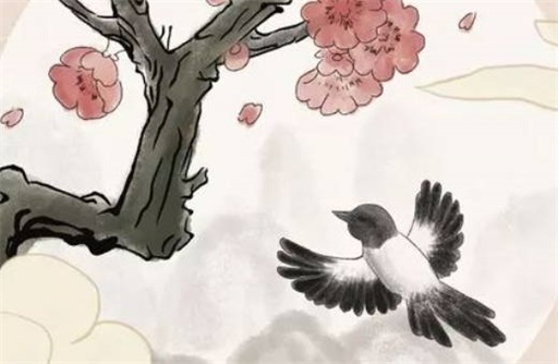 属兔2023年的婚姻运势 整体平稳感情升温