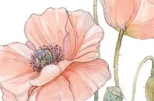 属龙人2023年5月份运势 感情旺盛桃花朵朵开