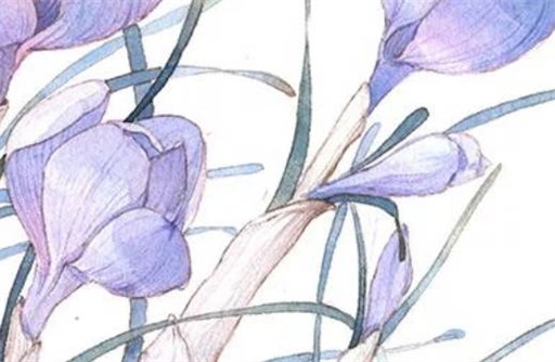 属虎人2023年5月份运势 偏财旺盛大赚特赚