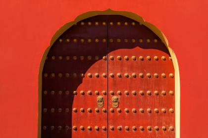 镇宅第一名树.jpg 镇宅第一名树.jpg